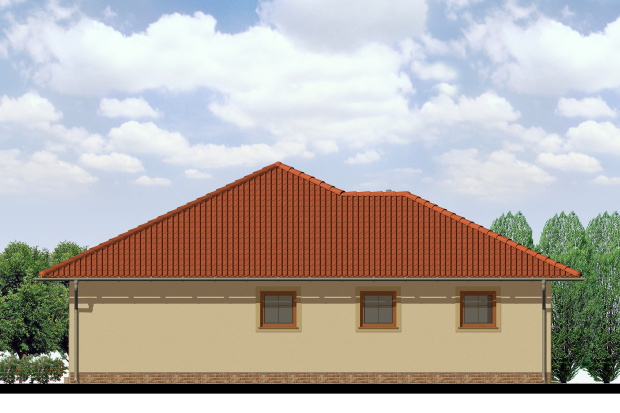 Array - perspektiva PL